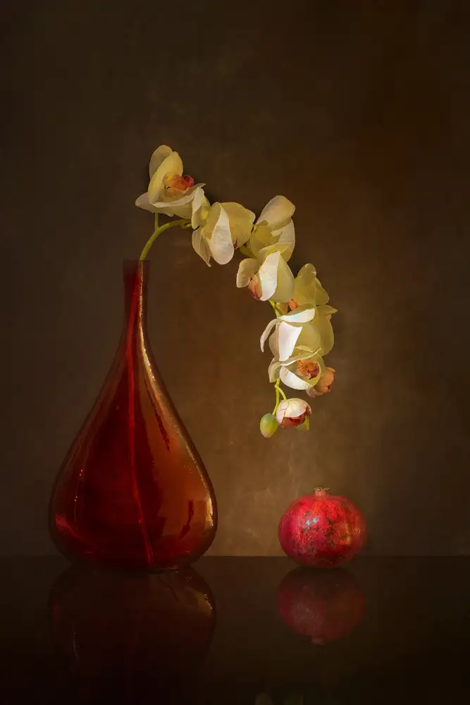 Xu, Wendy: Orquídea mariposa y granada