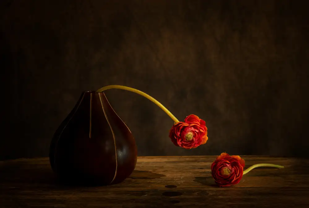 Zhang, Dennis: Fiore di ranuncolo