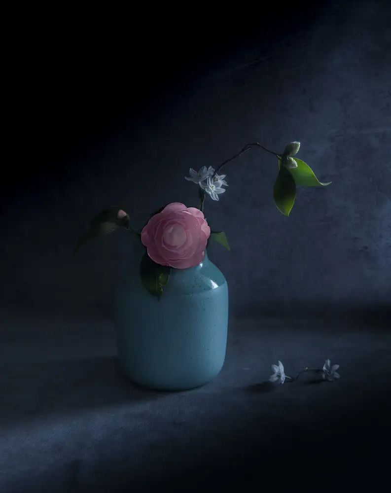Tseng, Judy: Perfezione rosa