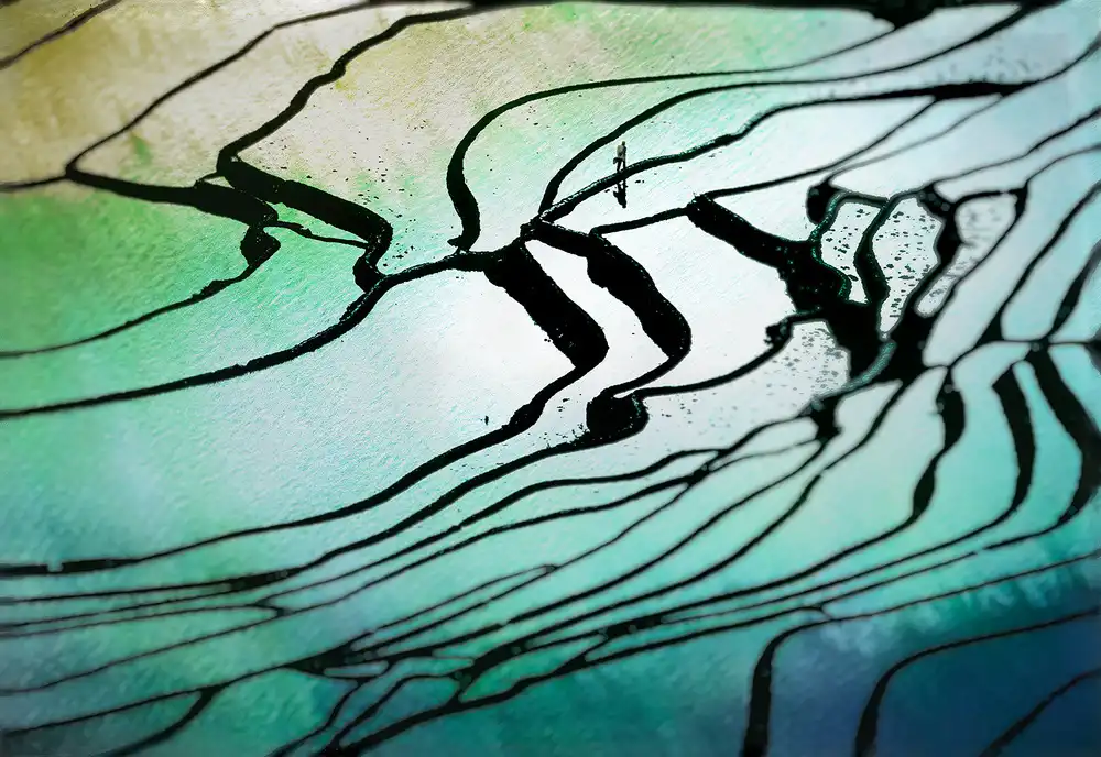 Dou, Shenshen: Rhythmus des Reisfeldes b