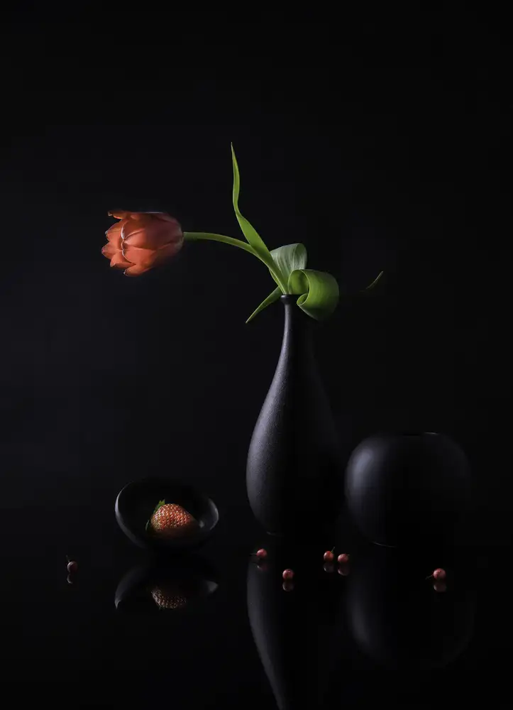Binbin, L.: Tulipano E Fragola