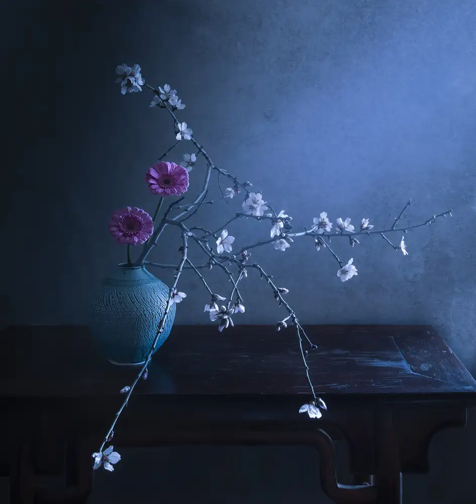 Tseng, Judy: la primavera è qui