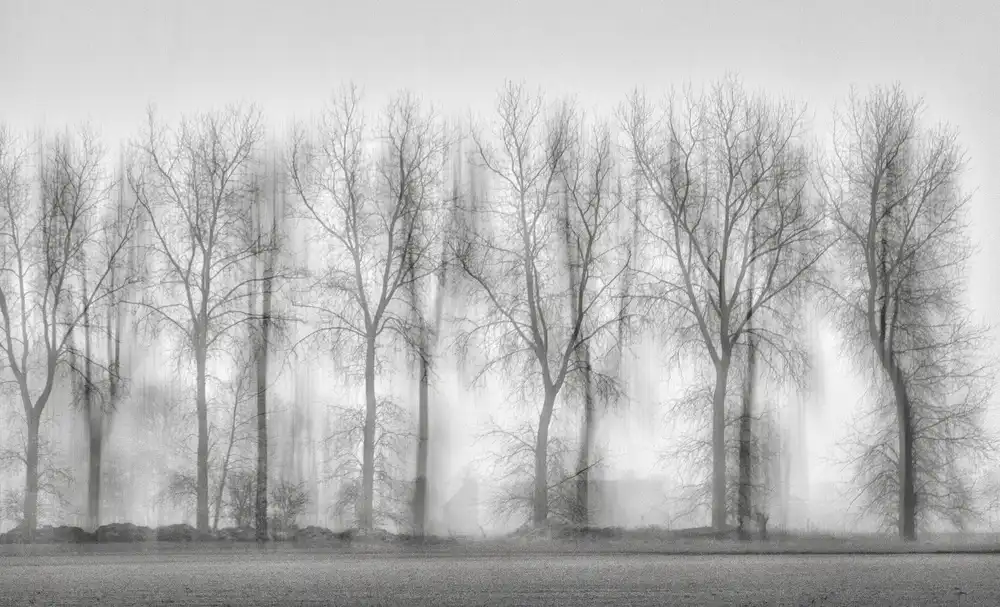 Yvette, Depaepe: Sladká melancholie mlhy