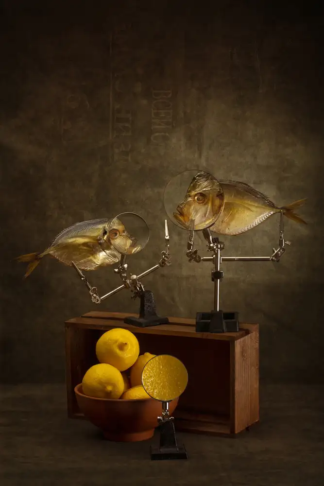 Barkow, Brig: Conversation de deux poissons lune sur les propriétés des citrons