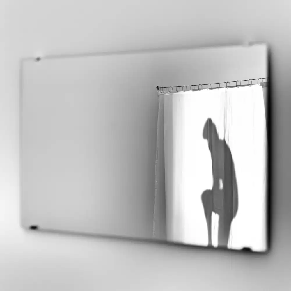 Schleicher-Schwarz, Roswitha: tajit vhled