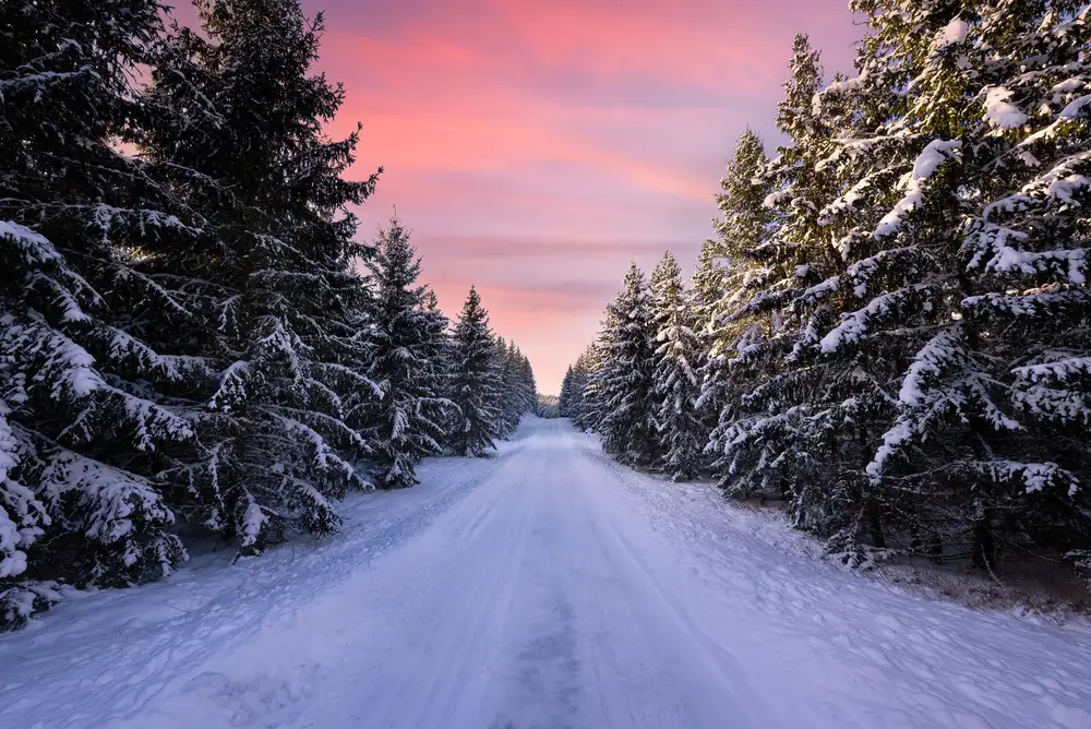 Lindsten, Christian: Straße in den Winterwald