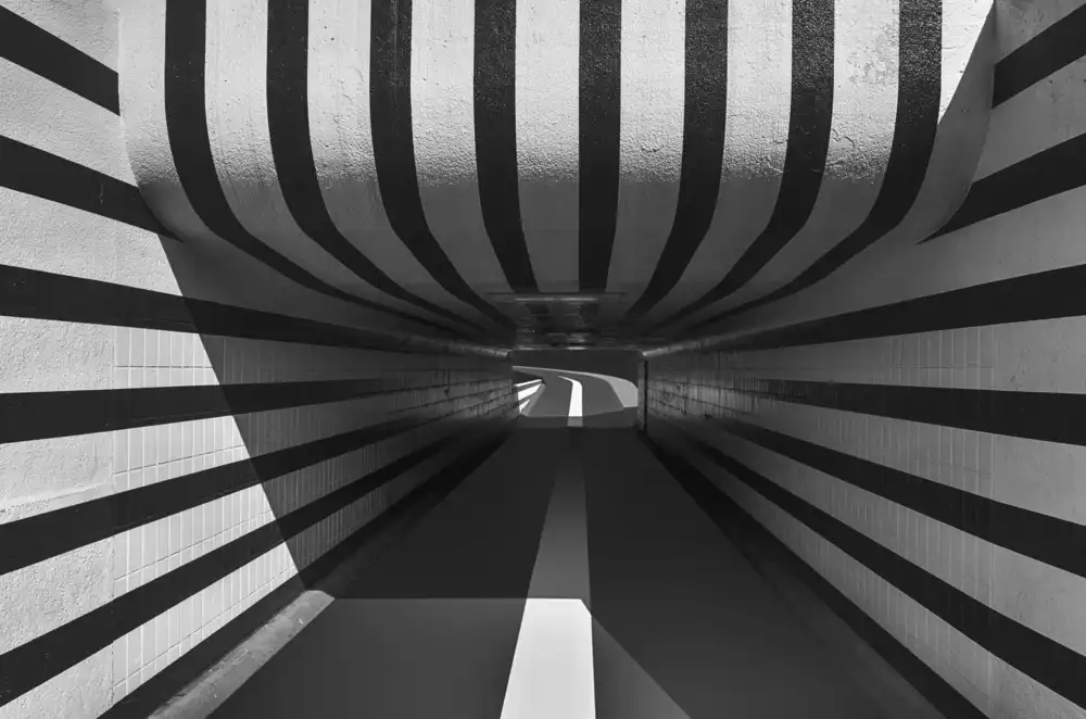 Son, van Greetje: Segui le linee