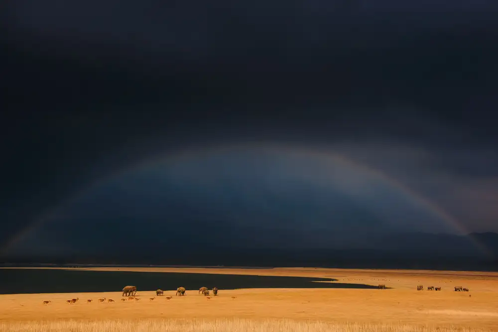 Swapnil: temné nálady