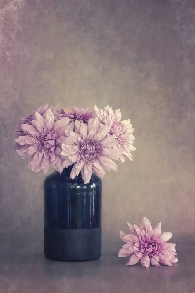 Kiral, Cicek: Rosa e dolce