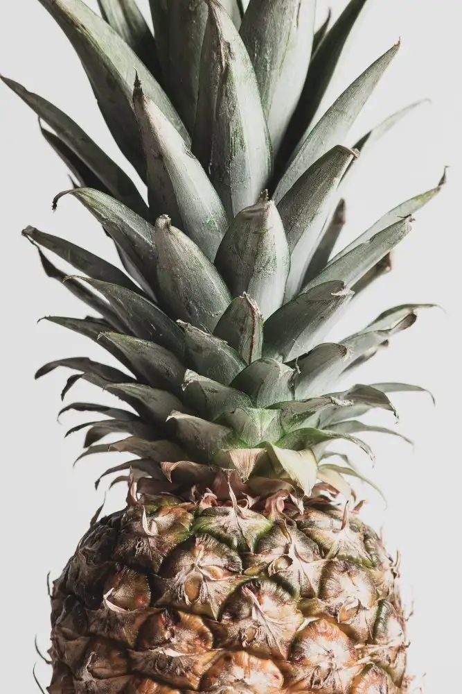 Studio, Pictufy: Ananas al naturale 03