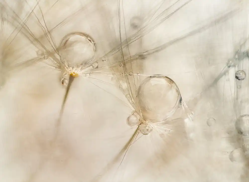 Talen, Nel: Aquarelle