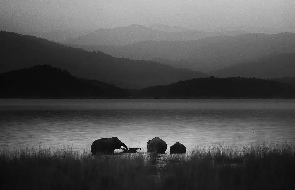 Swapnil: Rodinné nálady