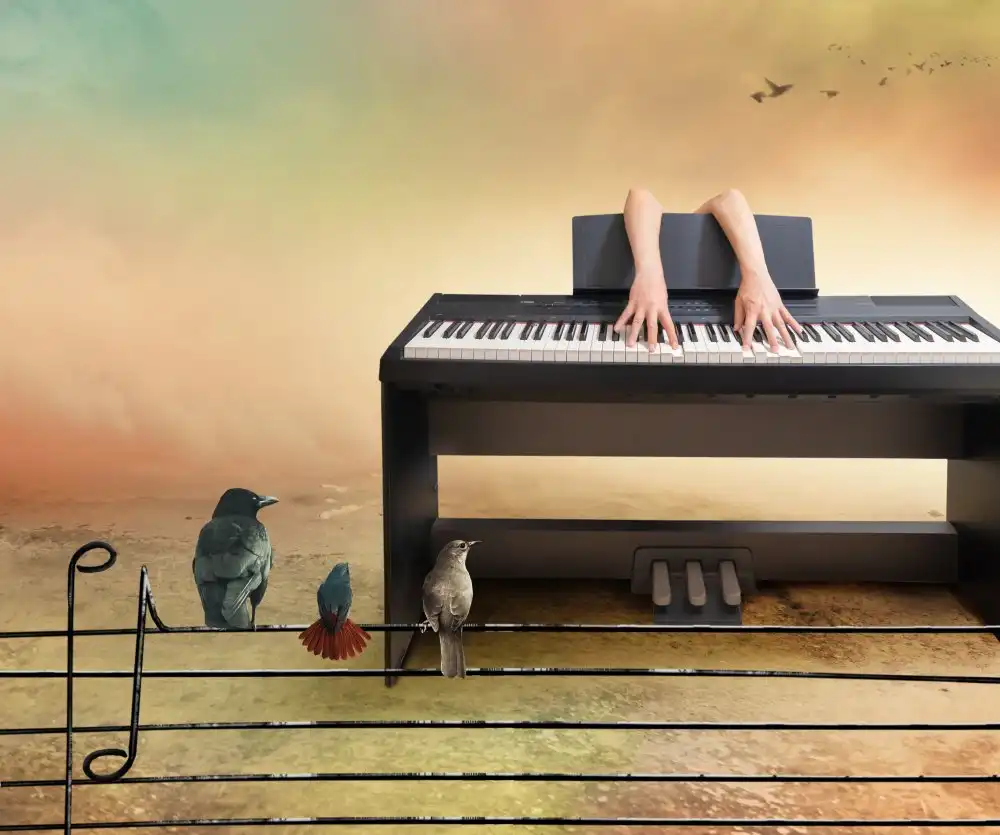 XibiaoHuang: Concierto