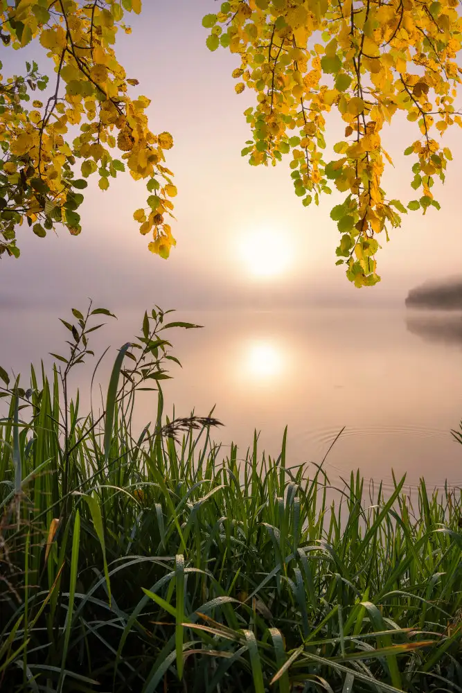 Lindsten, Christian: Morgenlicht am See