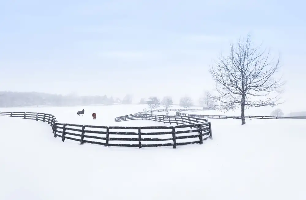 Deng, Larry: Winterbauernhof
