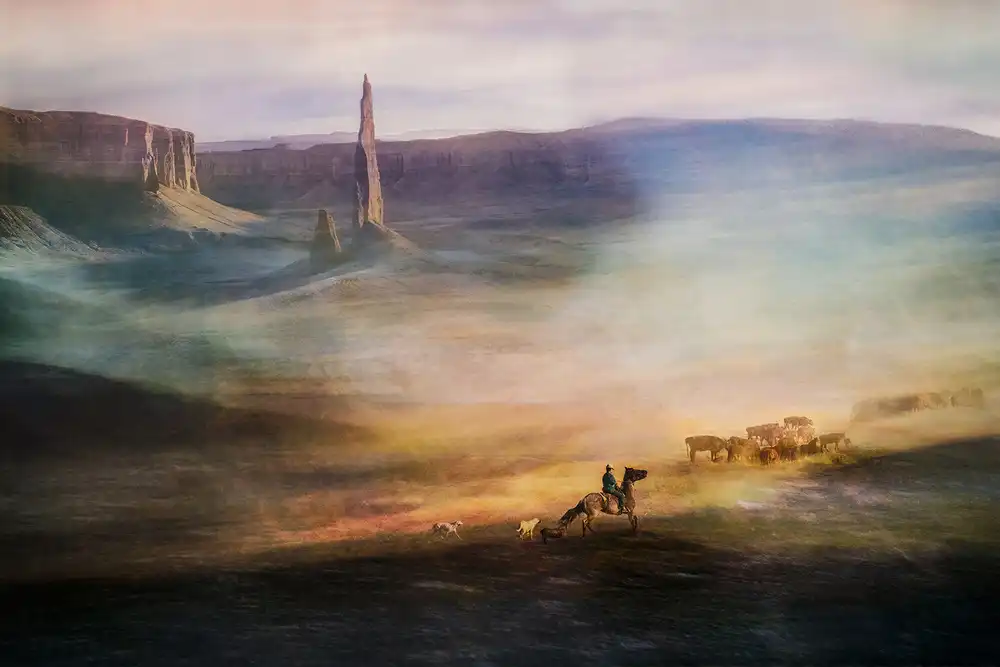 Dou, Shenshen: Migrace