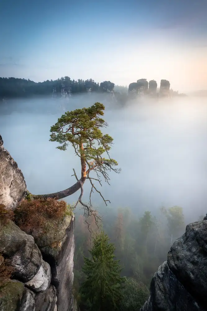 Schaarschmidt, Christoph: Sächsische Schweiz