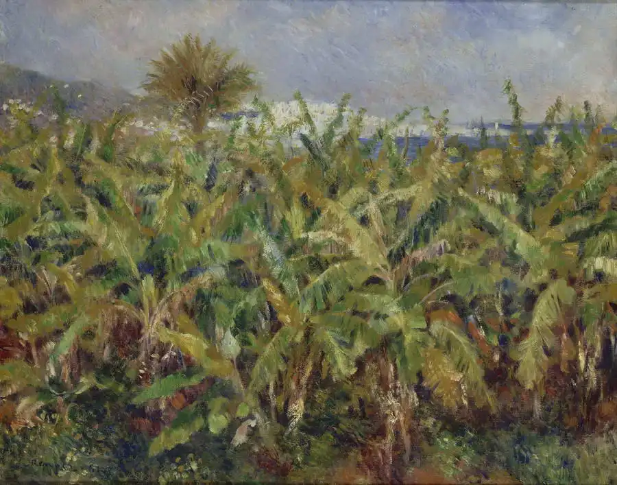 Renoir, Auguste: Banánovníky