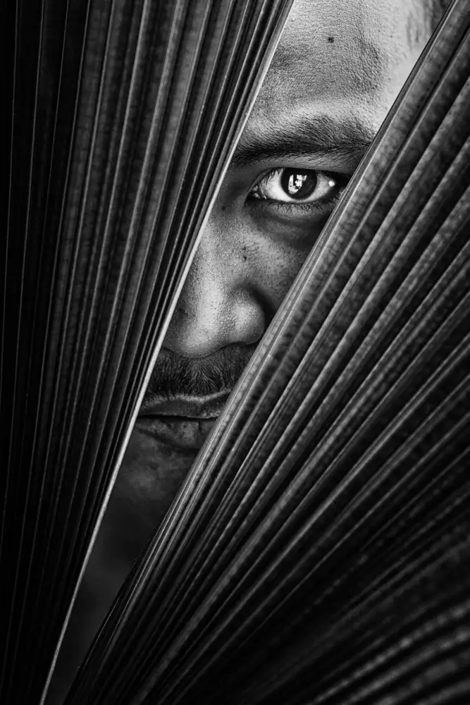 Halil, Andi: Das Auge