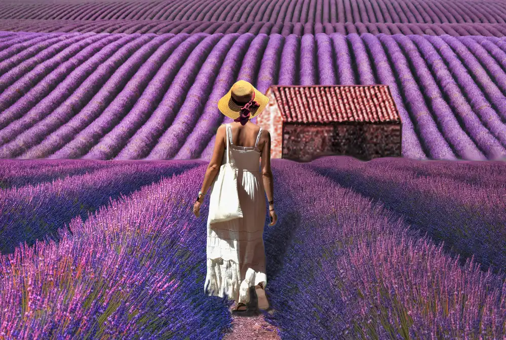 Bacus, Pierre: le cabanon provencal