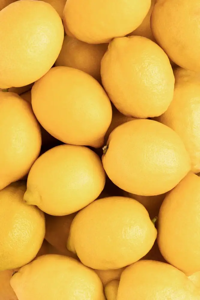 Studio, Pictufy: Limones_3