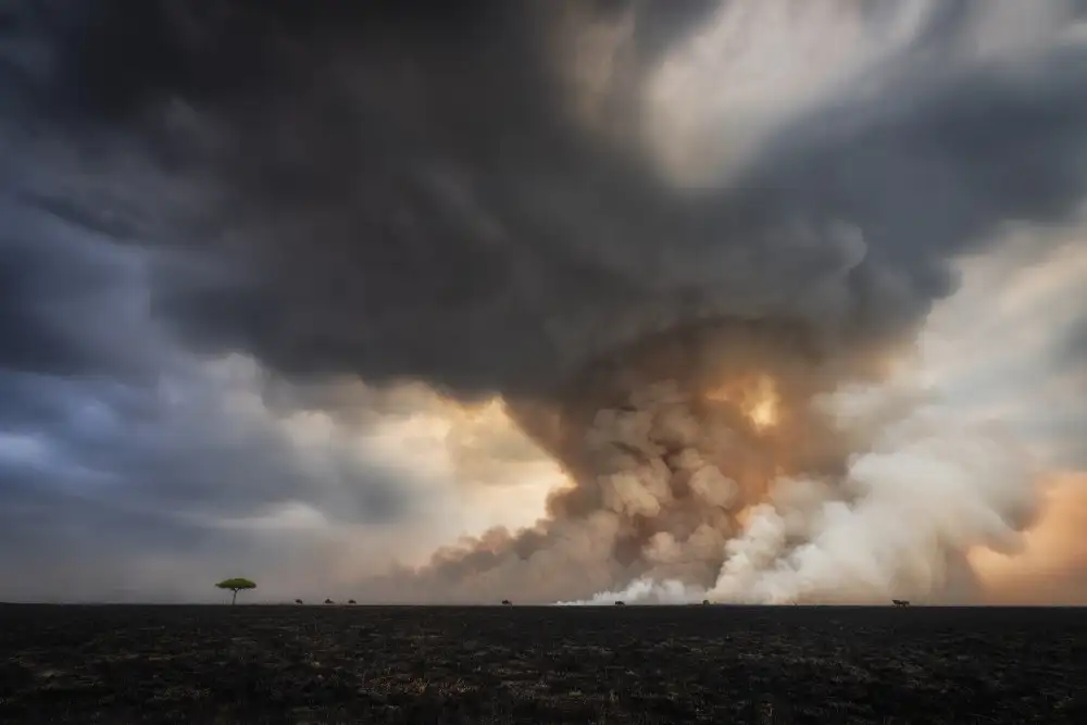 Marchegiani, Roberto: Savannah Burning