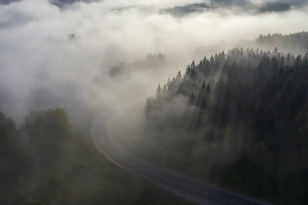 Doronin, Dmitry: Road to fog