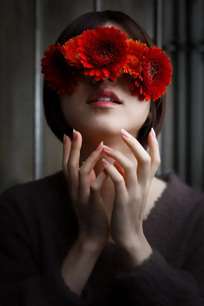 Sumimoto, Suguru: Gerbera-Mädchen