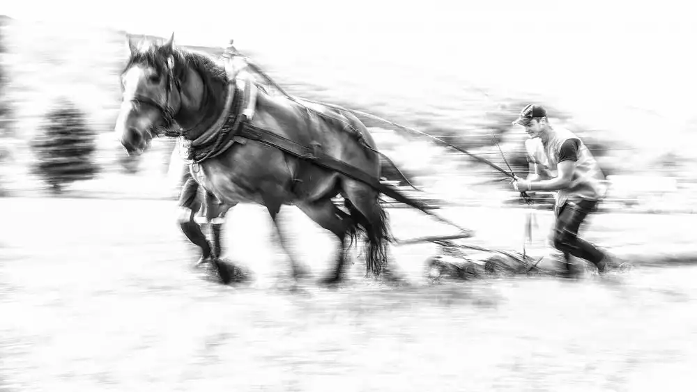 Ignac, Dusan: Zemědělec