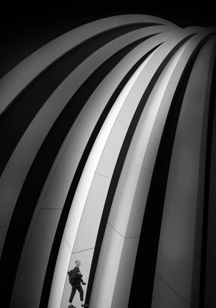 Groen, De Maurits: Curves