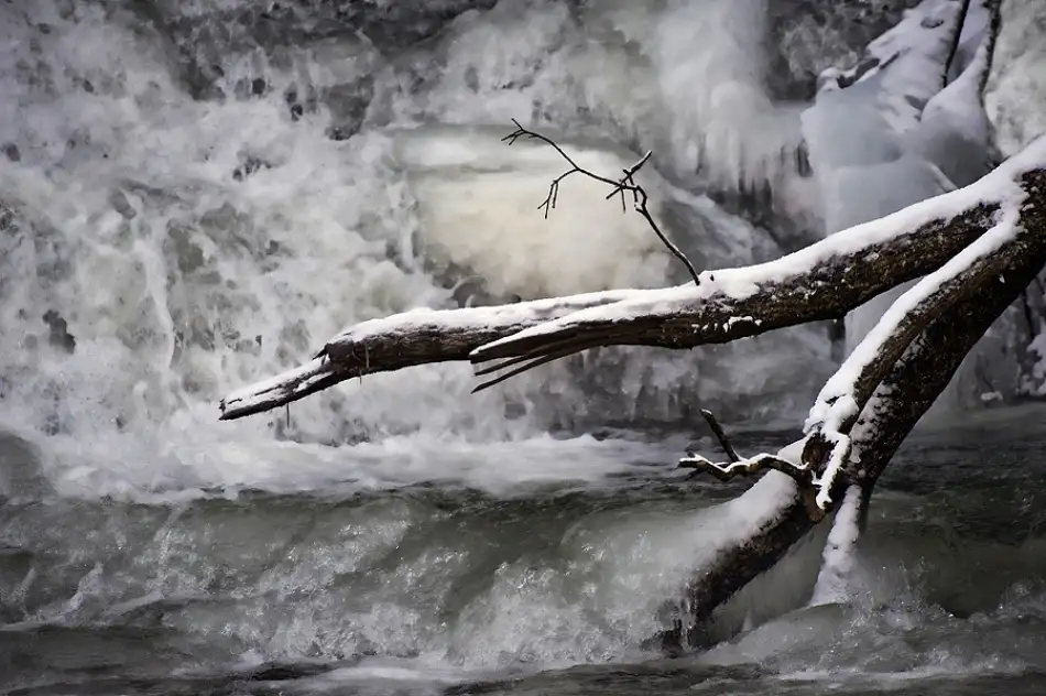 Kravanja, Jure: Winter