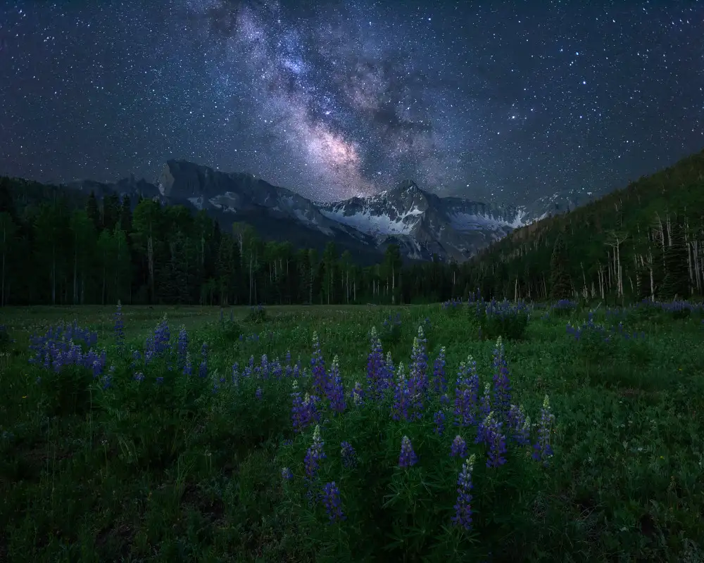 Xu, Mei: Notte alpina