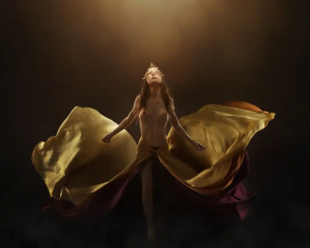 Benvenuti, Laura: Phoenix