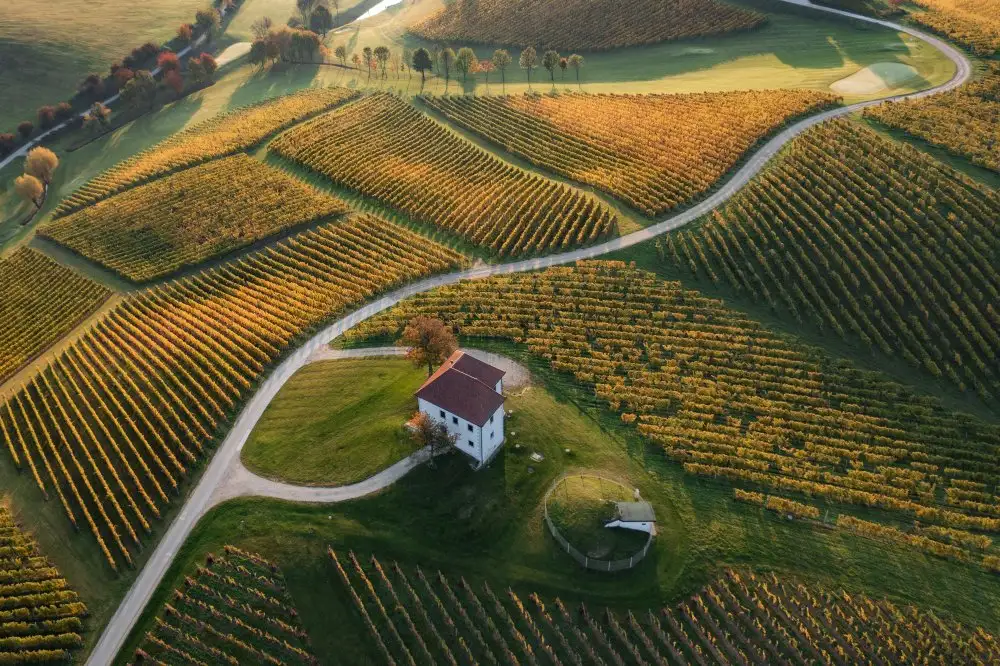 Kravanja, Jure: Collina d'oro