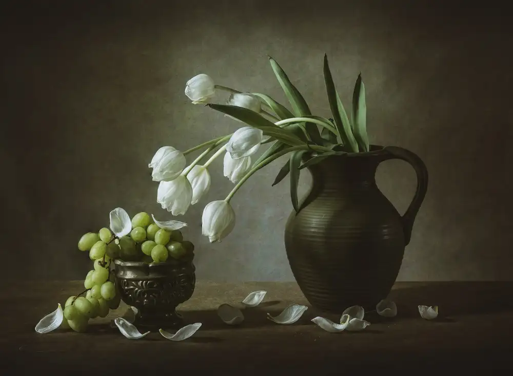 May, G.: Tulipani bianchi