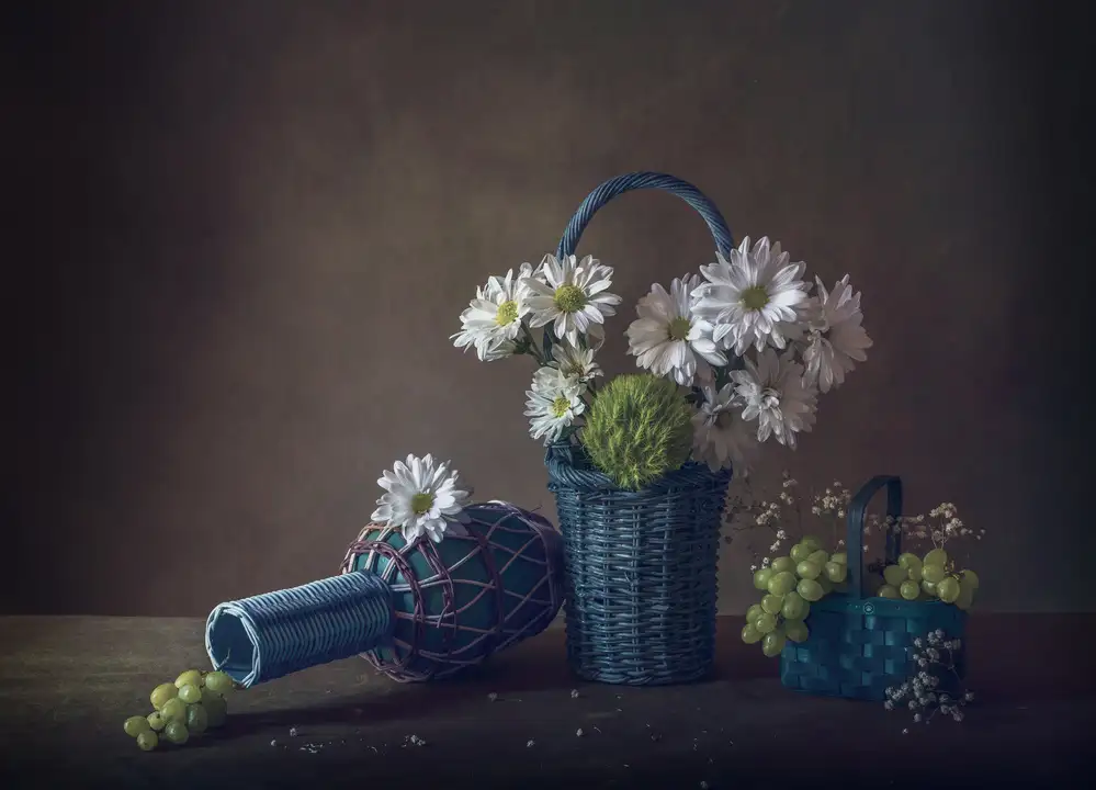 May, G.: Camomilla e Uva