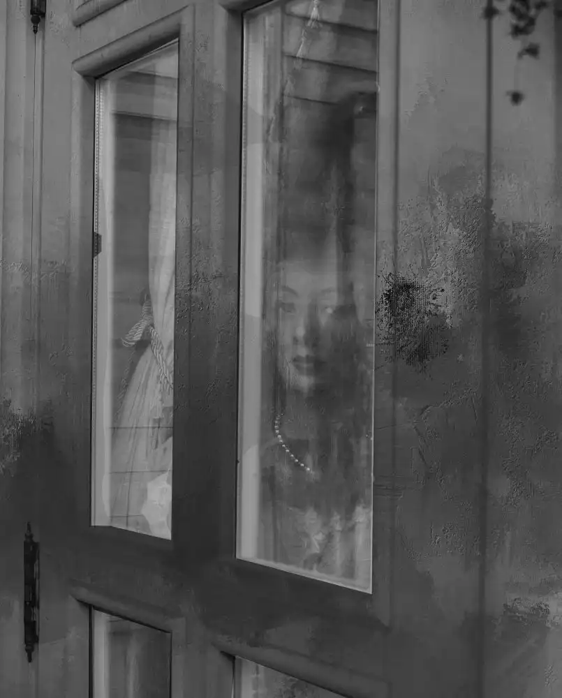 Pansky, Rachel: La mystérieuse dame à travers la fenêtre