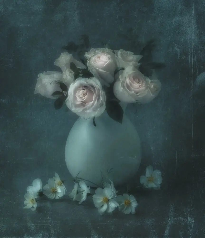Tseng, Judy: Rose antiche