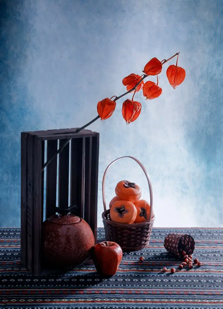 GaoSL: Frutta