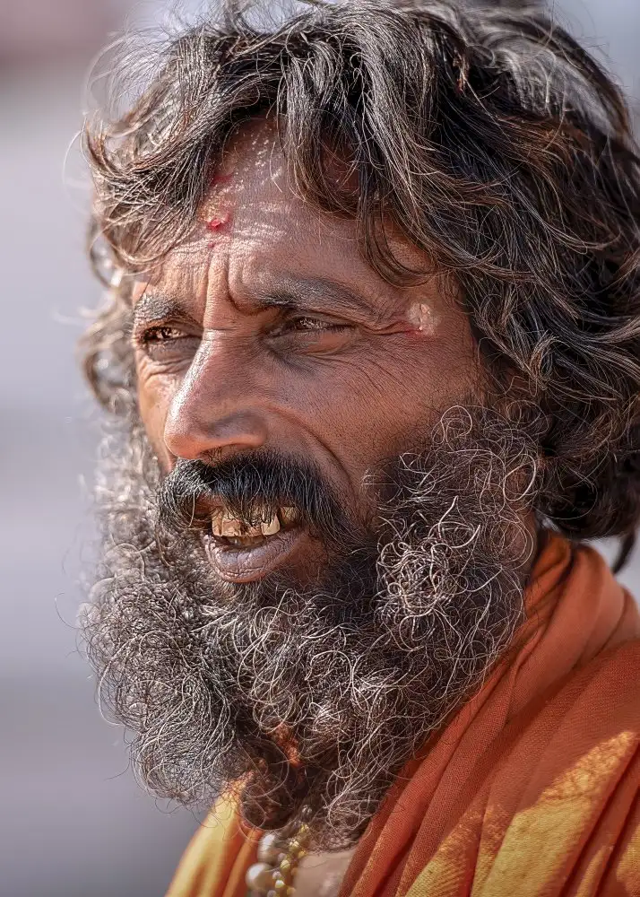 Lu, Alex: Sadhu