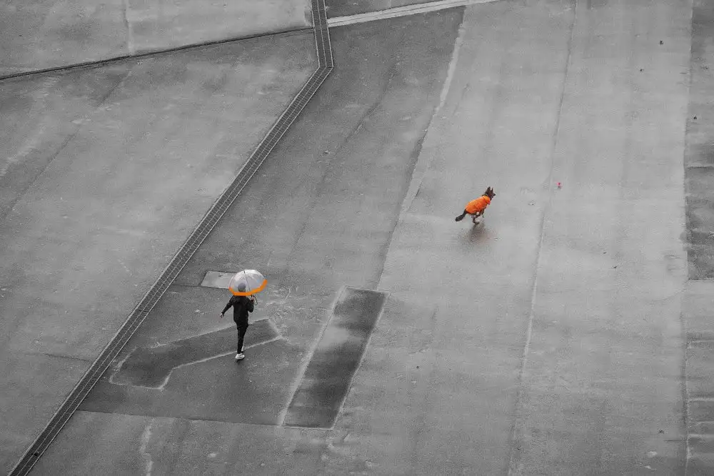 Urrutia, Adolfo: Orange auf der Diagonale