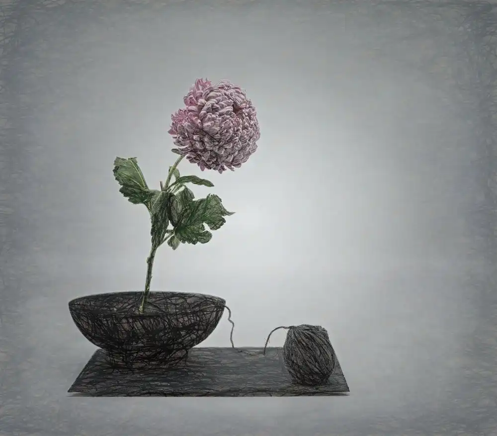 Dingemans, Saskia: Zenový dojem s květem chrysantu a twistem.