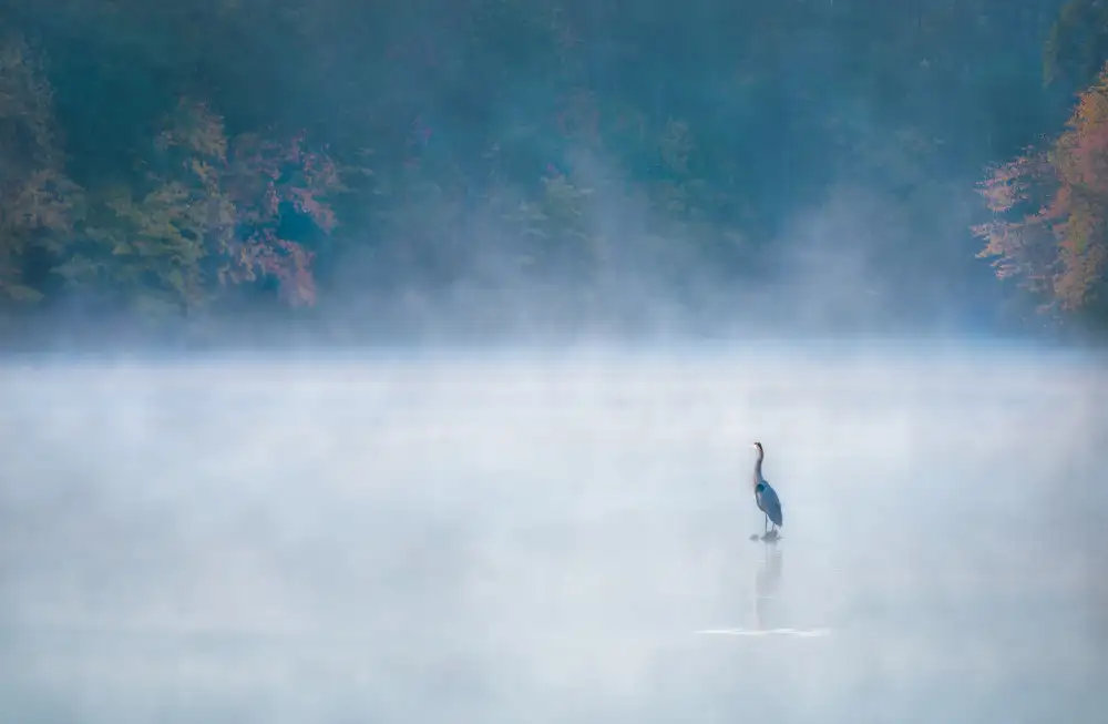 Yang, Jianping: Der Wächter des Lake Johnson