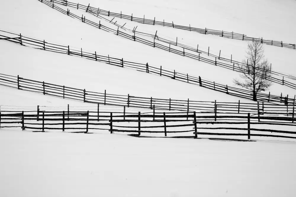 Zvagina, Dzintra: Winterlied