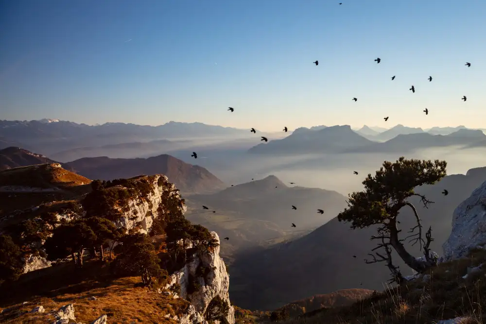 Paralleles, Visions: Hanno volato per me