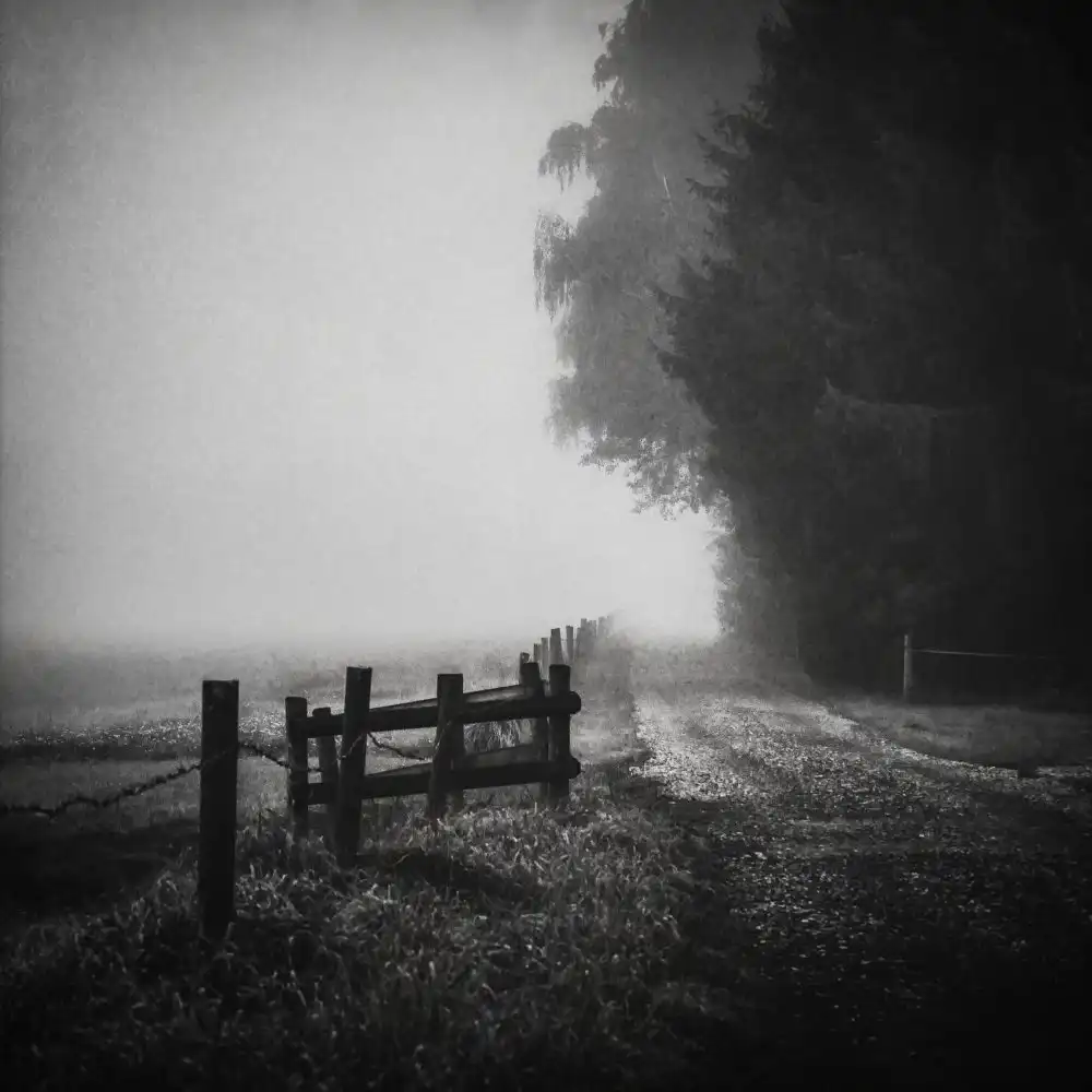 Wasinger, Renate: sentiero perduto