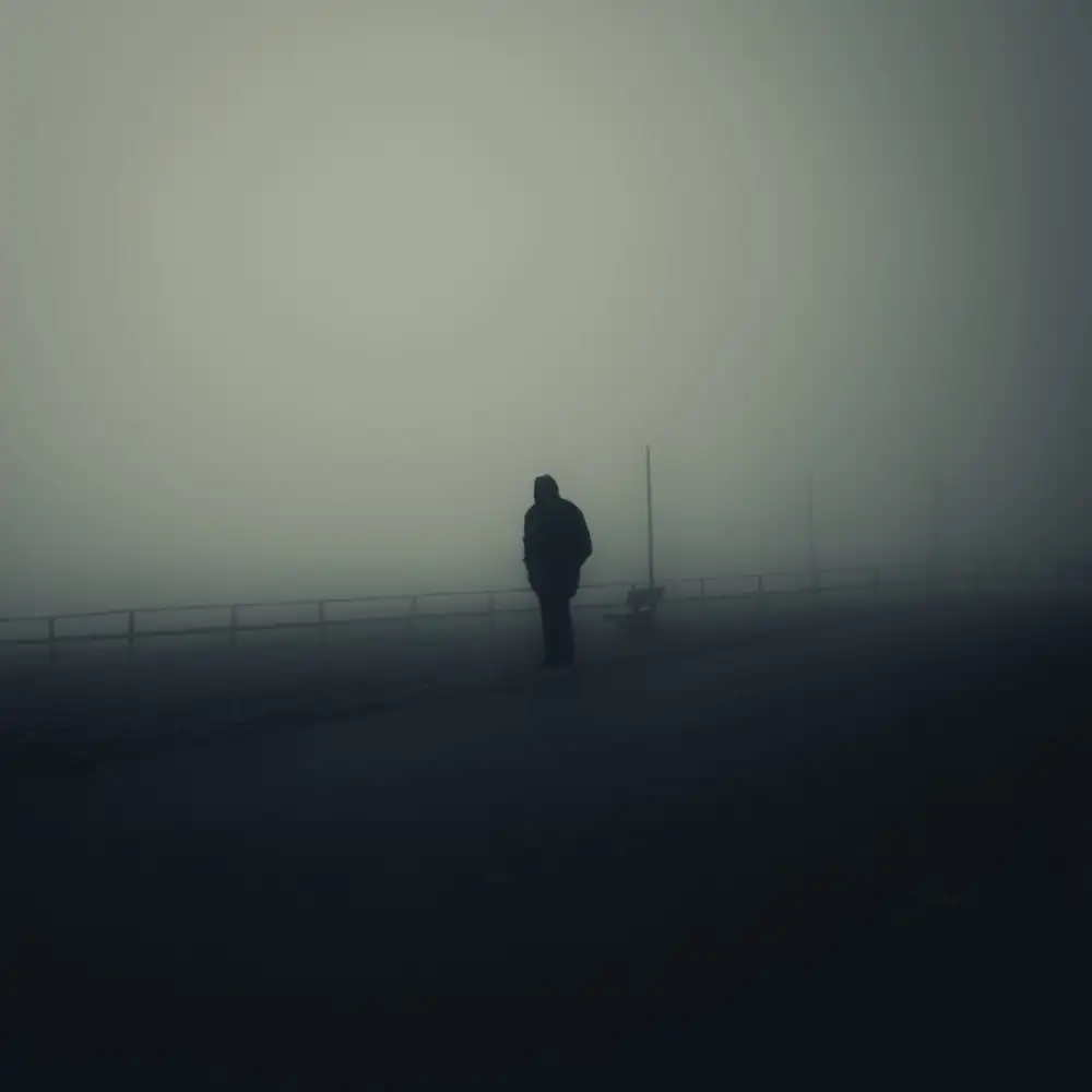 Bauer, Viktor: Solitario nella nebbia