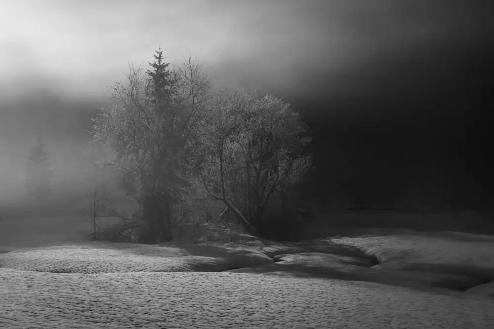 Dauer, Andy: l'inverno sta dipingendo in bianco e nero