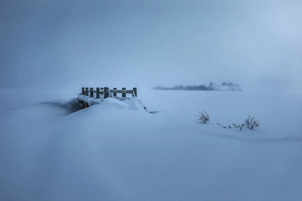 Xu, Wendy: Petit Woodbridge après la neige