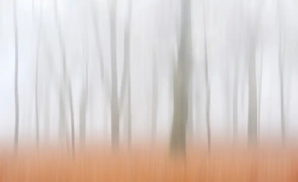 Limberg, Huib: Impressione autunnale nebbiosa